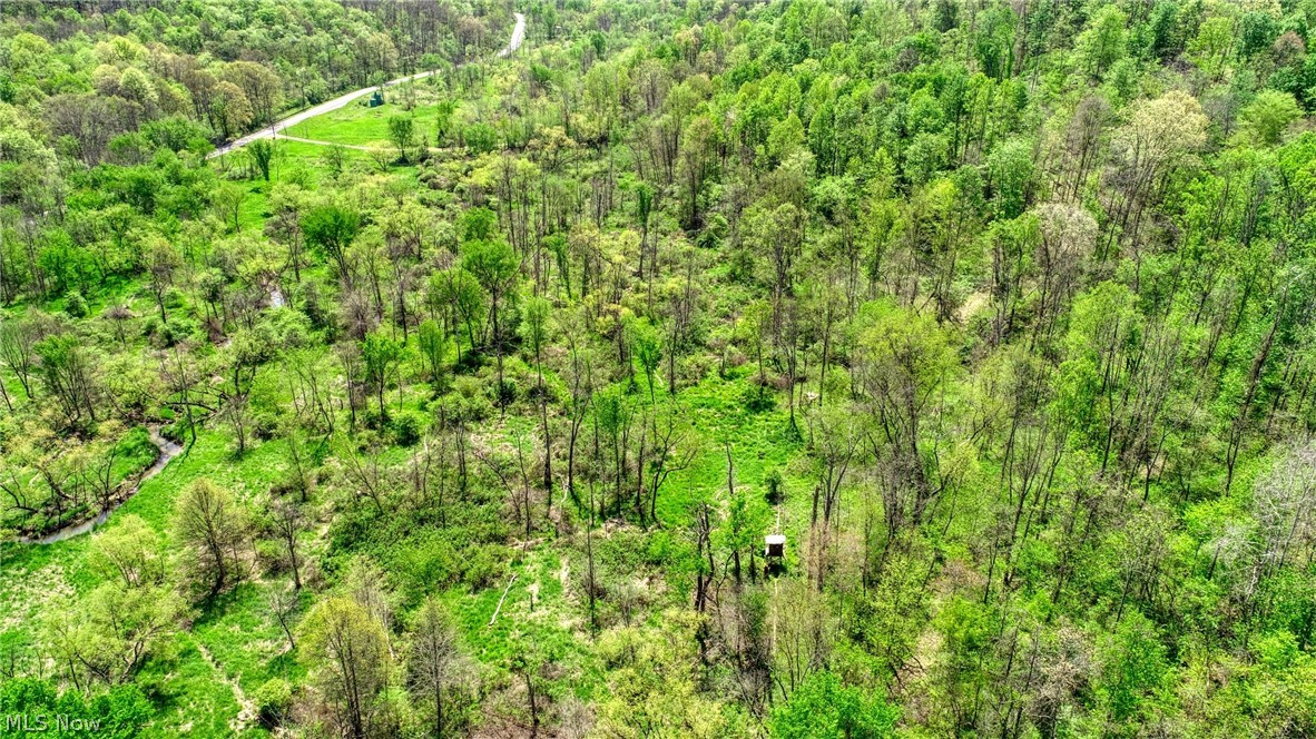 6820 Crane Run Road Cumberland, OH 43732 - Photo 10 of 17
