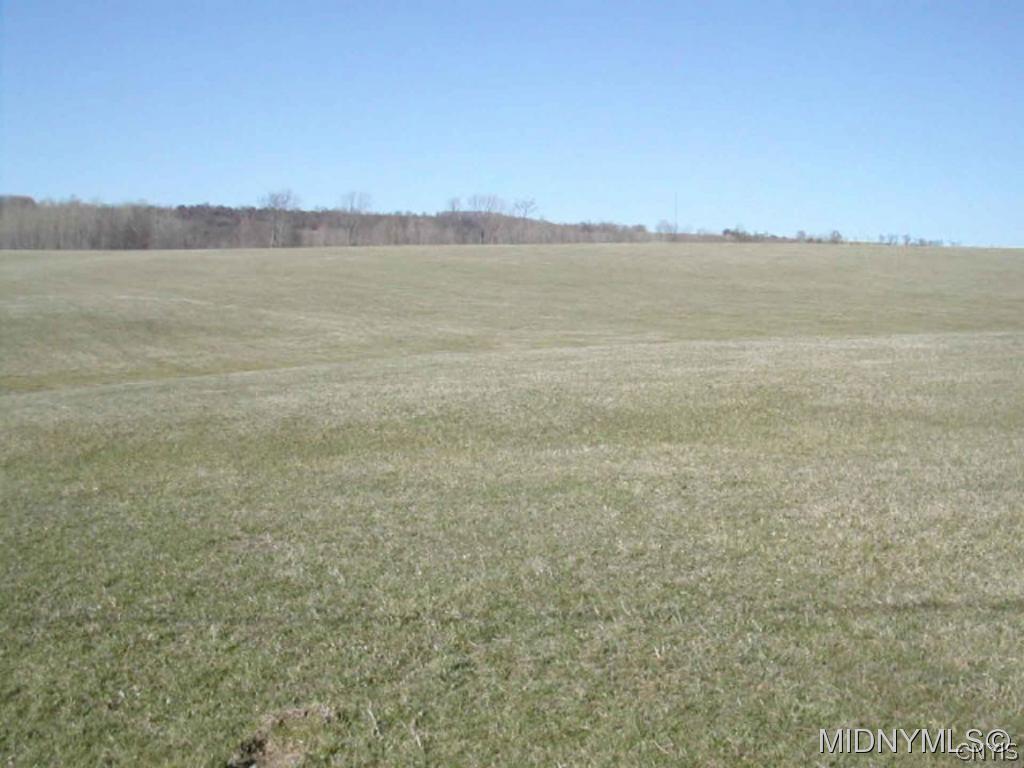 32 Hawthorne Road New Hartford, NY 13413 - Photo 1 of 6 Gallery Image 1