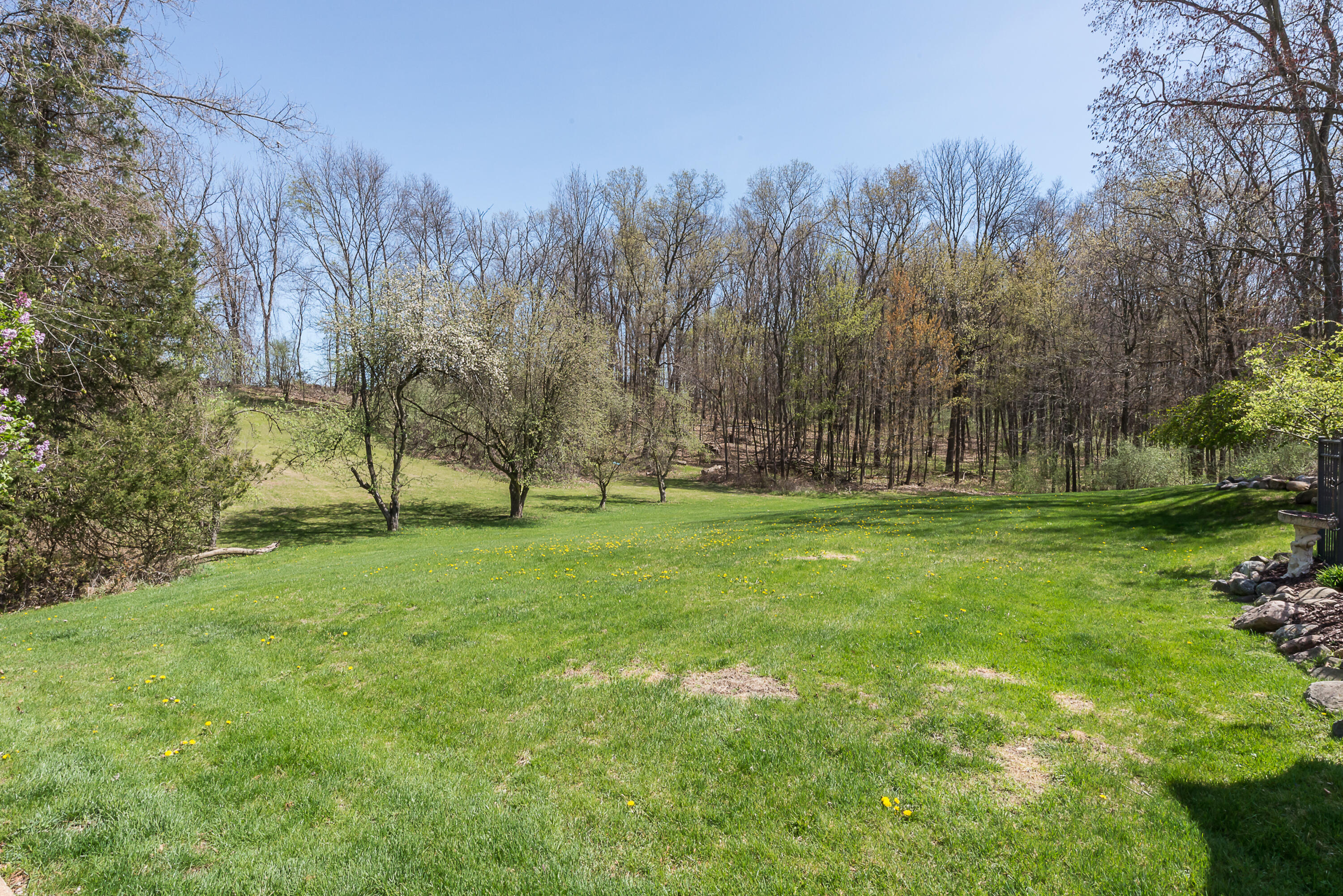 7949 Werkner Road Chelsea, MI 48118 - Photo 79 of 93 DSC_5774