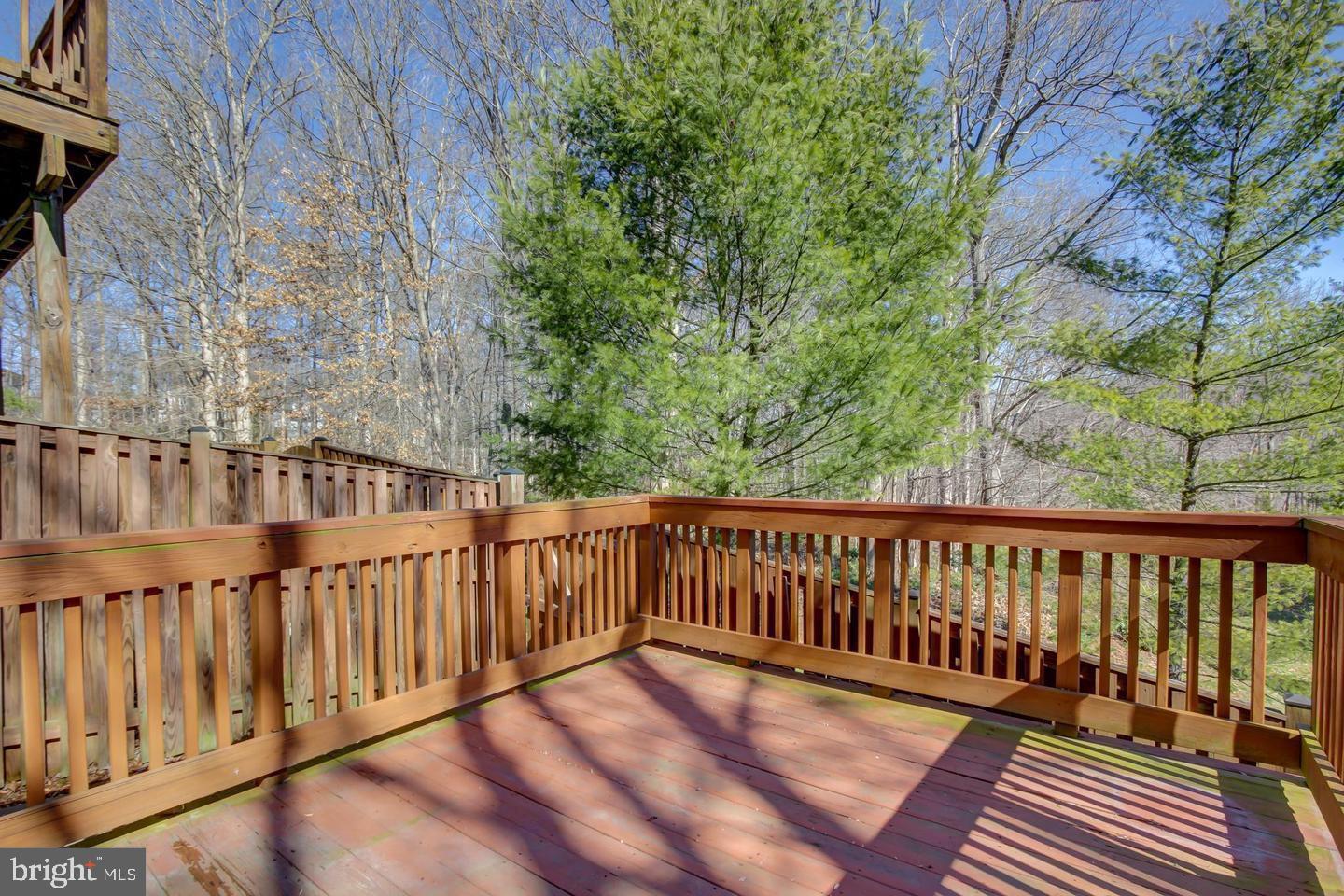 8200 Maple Ridge Avenue Springfield, VA 22153 - Photo 31 of 35 Gallery Image 31