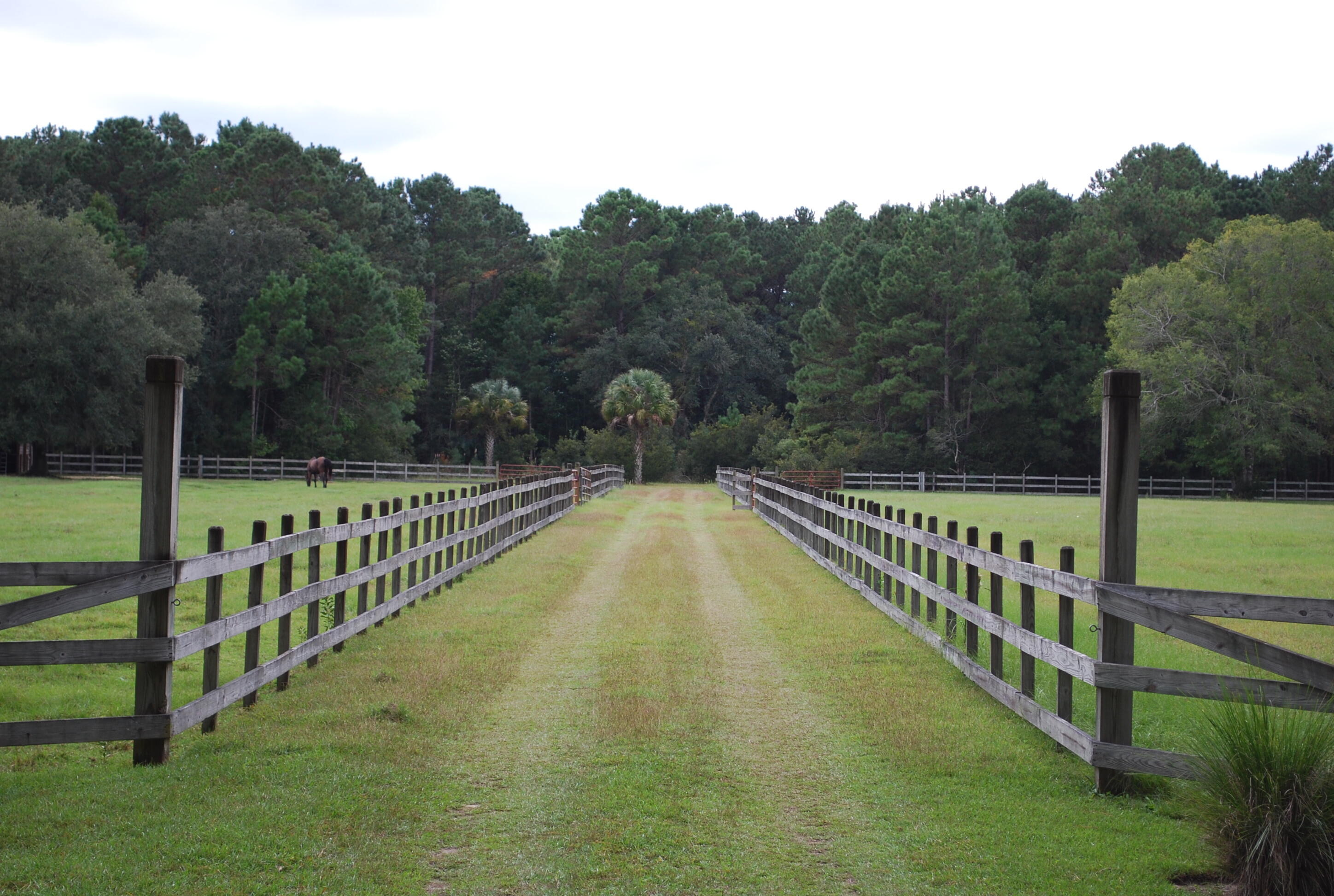 4041 Longmarsh Road Mount Pleasant, SC 29429 - Photo 85 of 87 stable