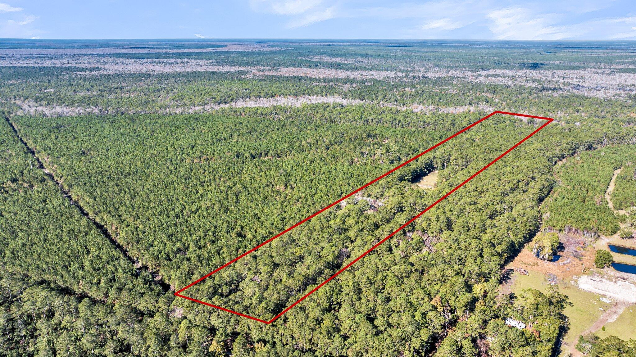 9154 Old Georgetown Road McClellanville, SC 29458 - Photo 11 of 17 CREM - 9154 Old Georgetown-11