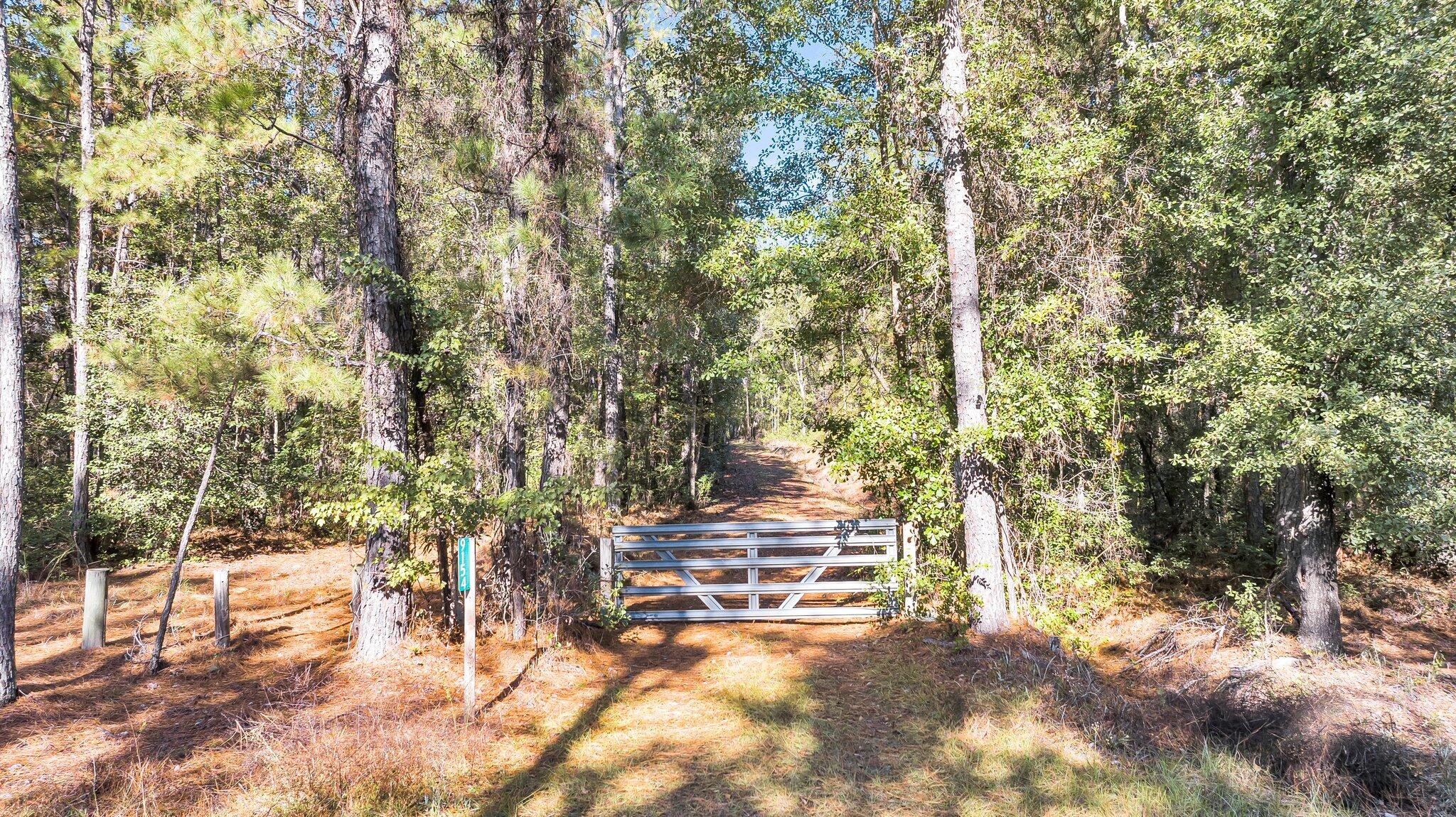 9154 Old Georgetown Road McClellanville, SC 29458 - Photo 14 of 17 CREM - 9154 Old Georgetown-14