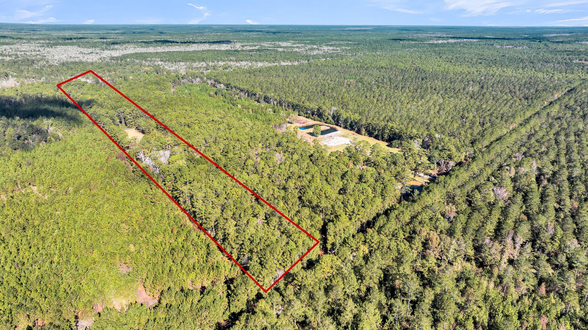 9154 Old Georgetown Road McClellanville, SC 29458 - Photo 2 of 17 CREM - 9154 Old Georgetown-2