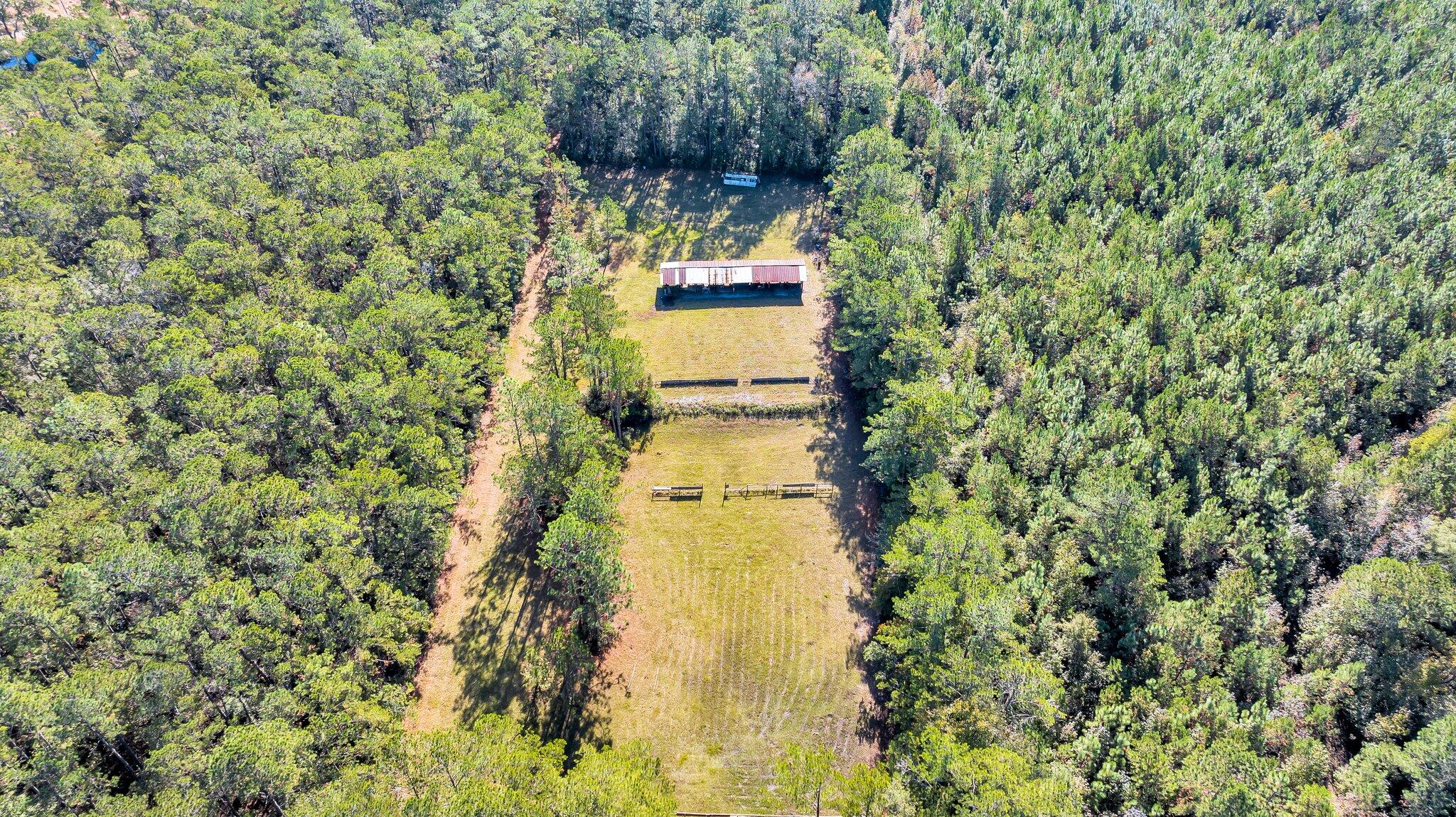 9154 Old Georgetown Road McClellanville, SC 29458 - Photo 5 of 17 CREM - 9154 Old Georgetown-5