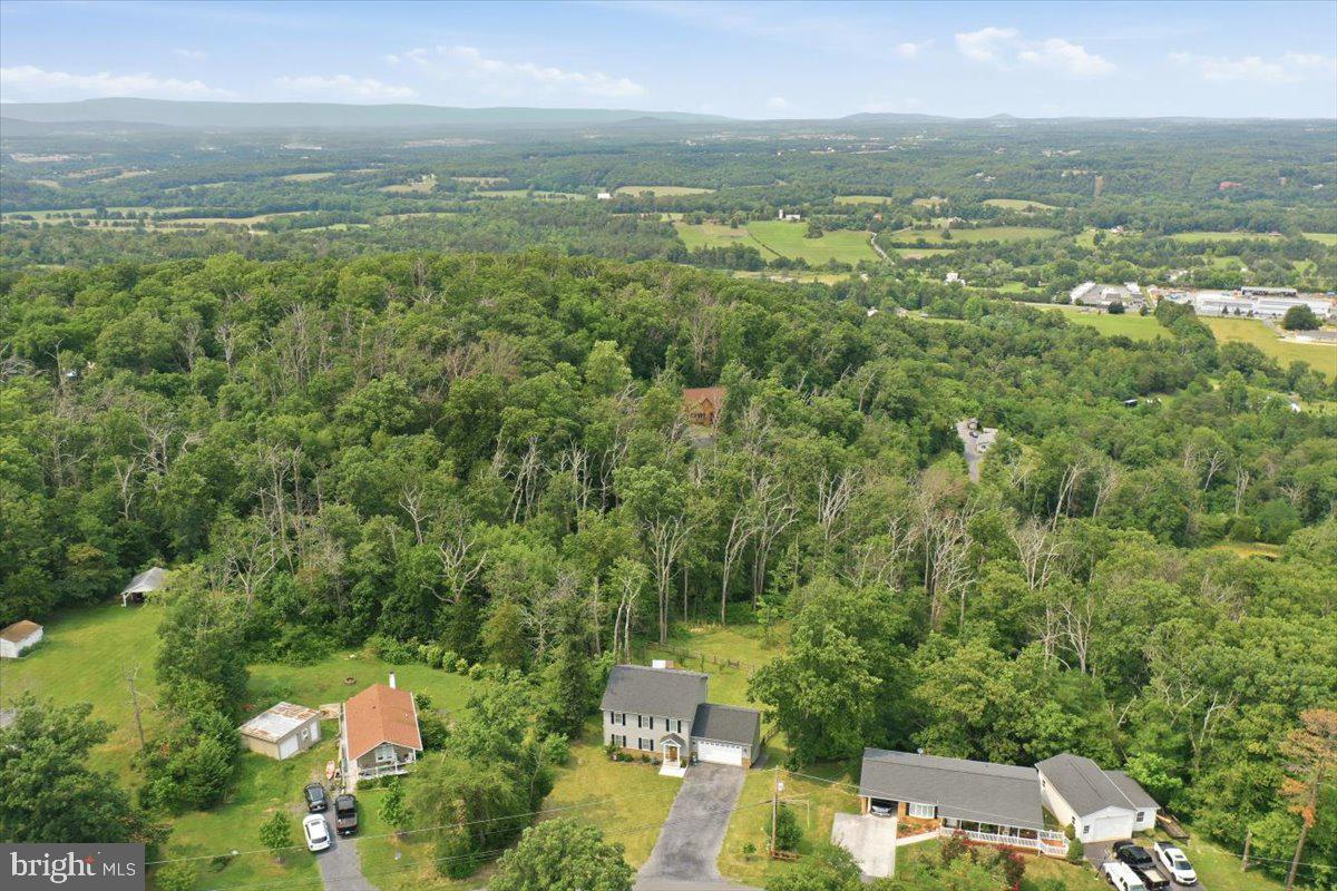 524 Lower Valley Road Strasburg, VA 22657 - Photo 50 of 53