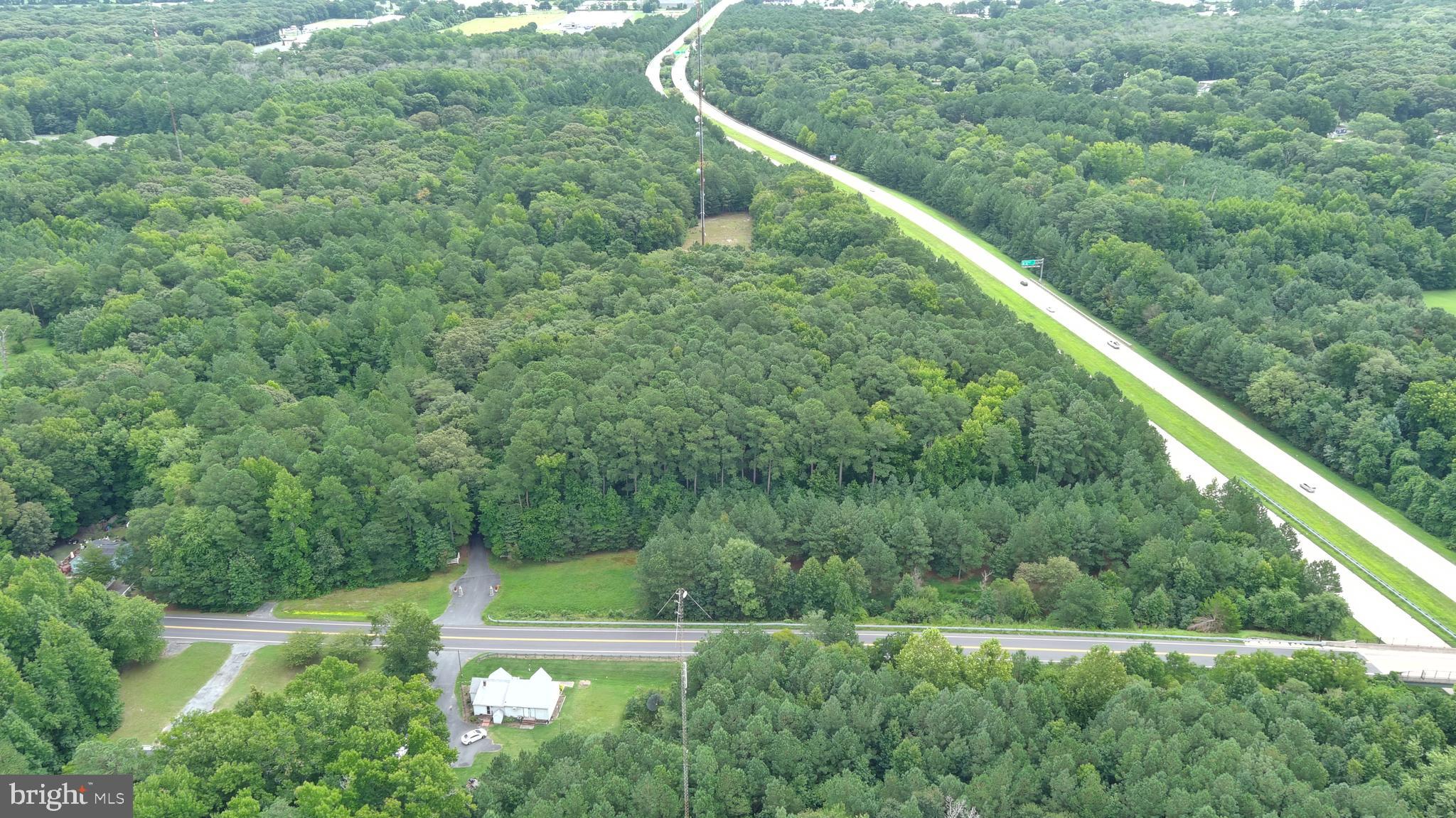 a view of a lush green forest with a lake