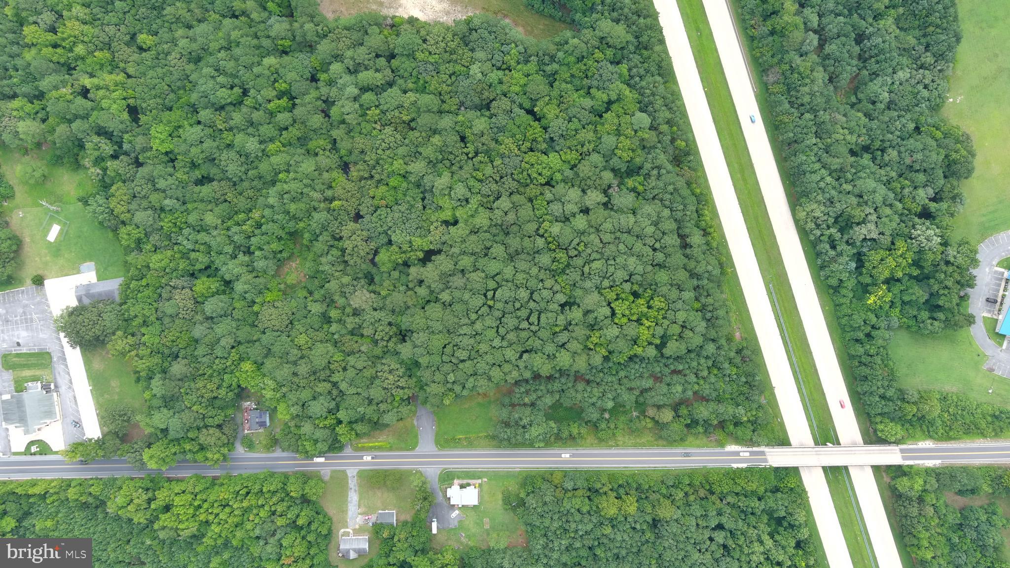 0 Jersey Road Salisbury, MD 21801 - Photo 3 of 5 a view of a yard