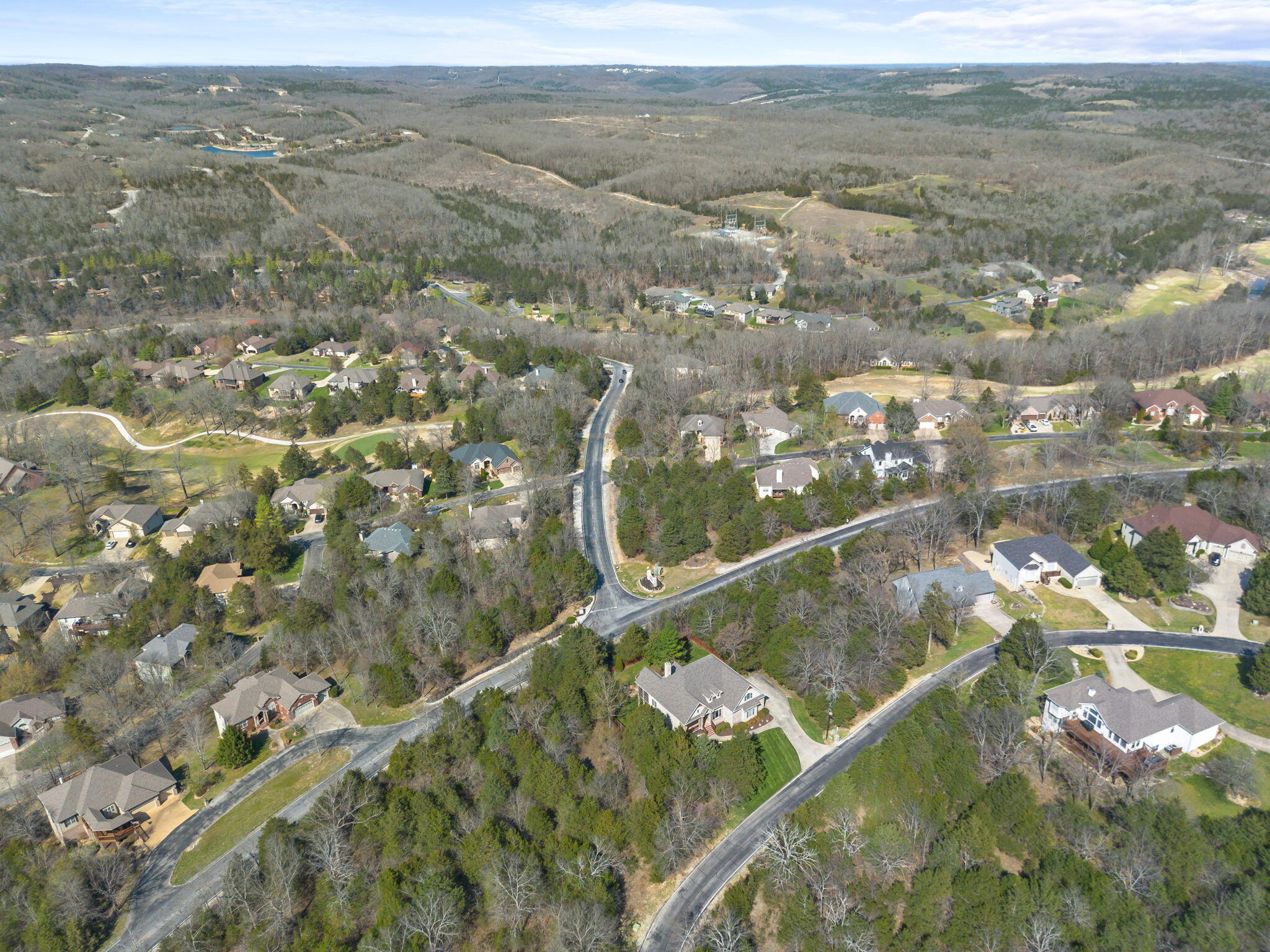512 Silverwood Place Reeds Spring, MO 65737 - Photo 70 of 84 Aerial 2