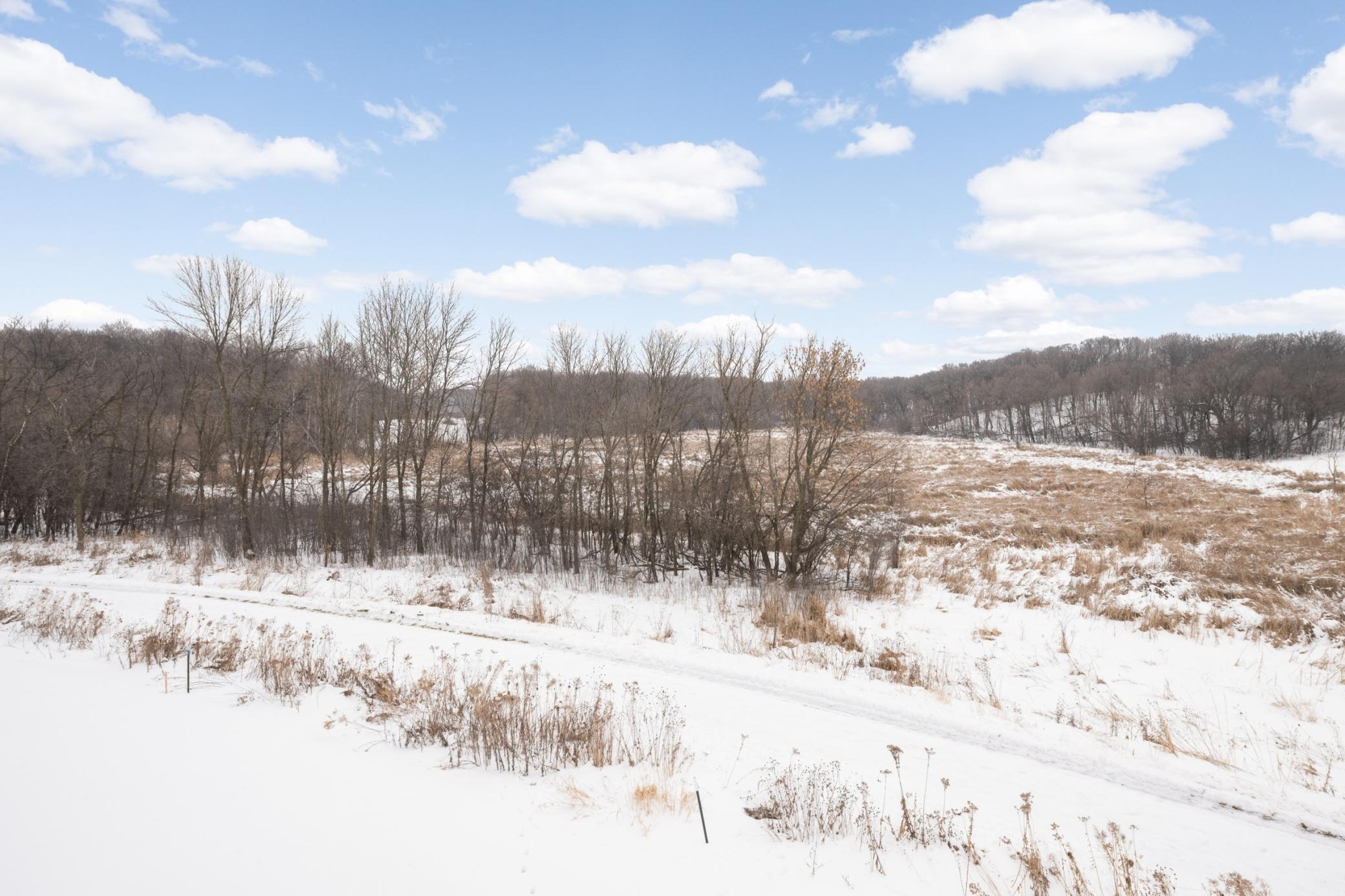 1965 Paisley Path Chanhassen, MN 55317 - Photo 35 of 36