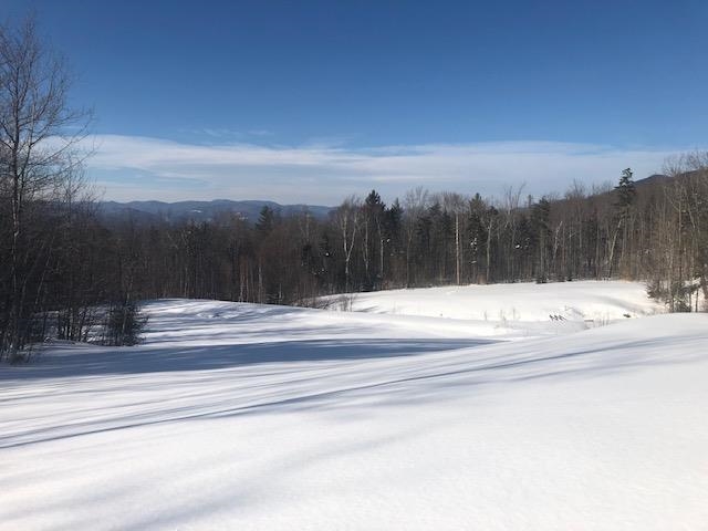 3412 Bethel Mountain Road Rochester, VT 05767 - Photo 4 of 22