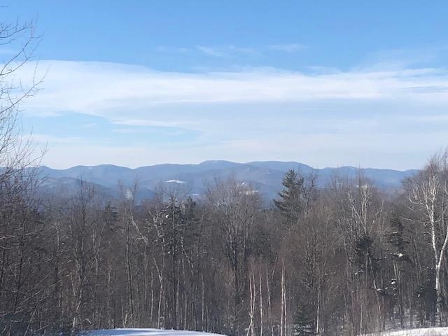 3412 Bethel Mountain Road Rochester, VT 05767 - Photo 5 of 22