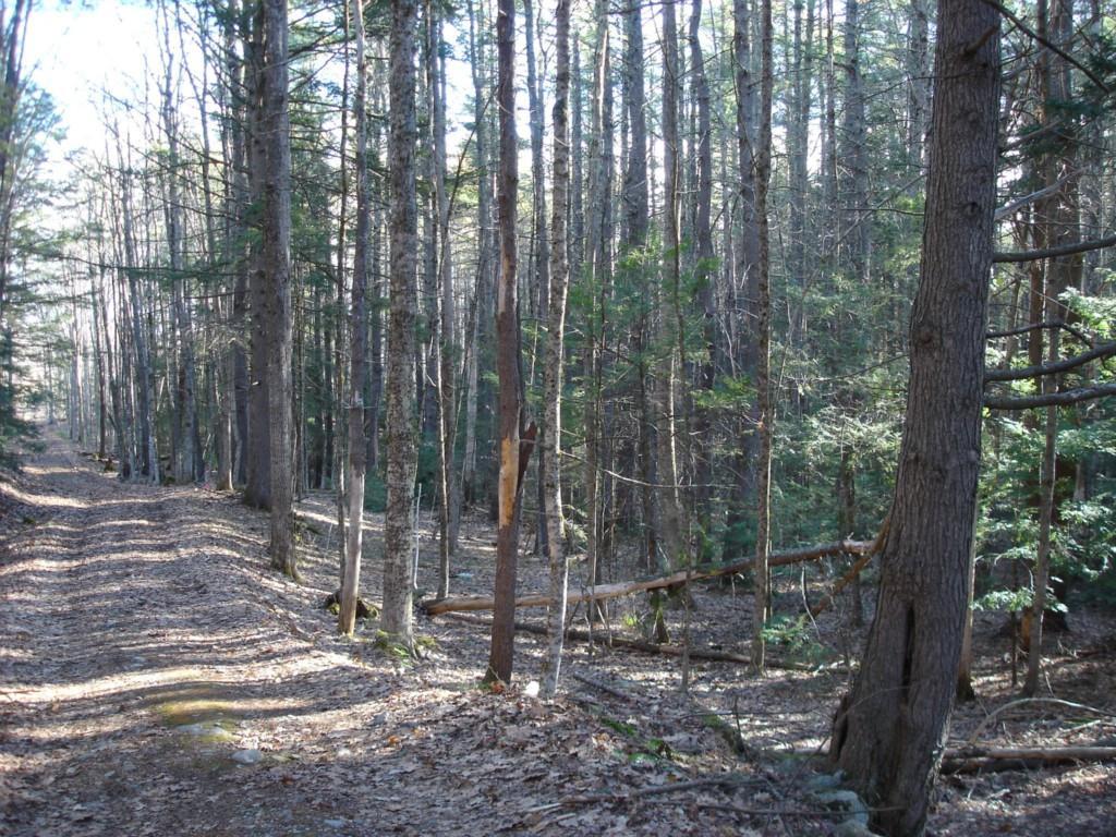 0 Steele Road Biddeford, ME 04005 - Photo 7 of 11 Photo