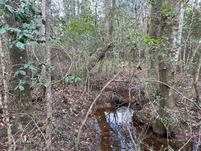 Forty Lost Forty Road Andalusia, AL 36420 - Photo 8 of 13 Gallery Image 8