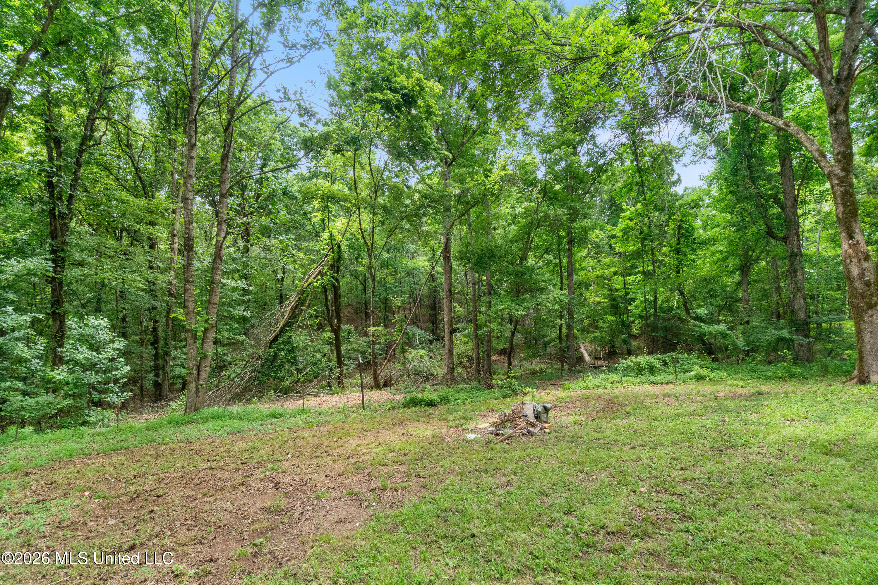 496 Krotzer Road Sardis, MS 38666 - Photo 11 of 11 IMG_5093