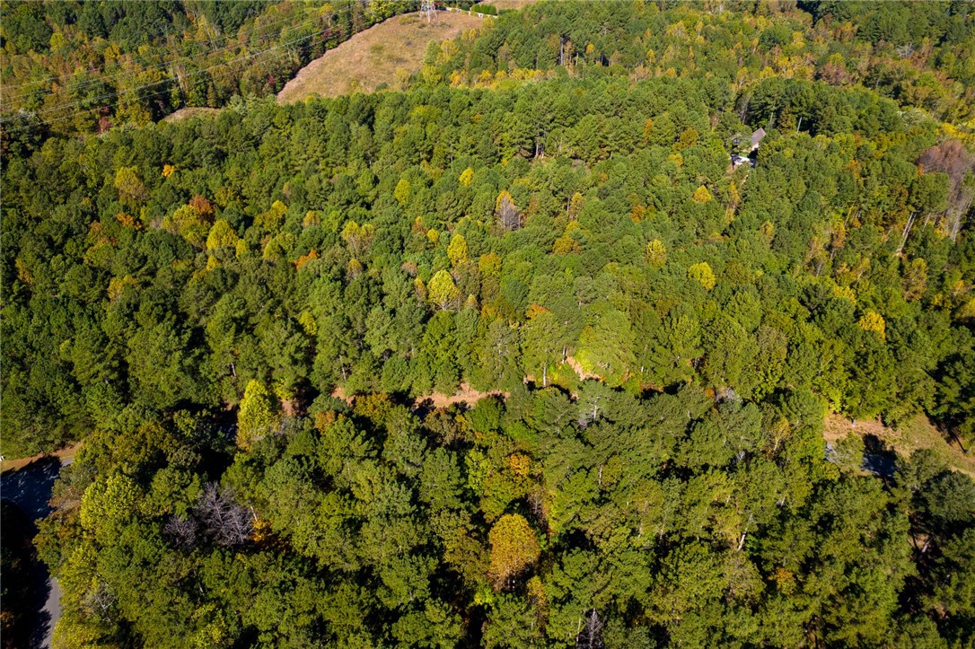 625 Pine Harbor Way Salem, SC 29676 - Photo 2 of 10