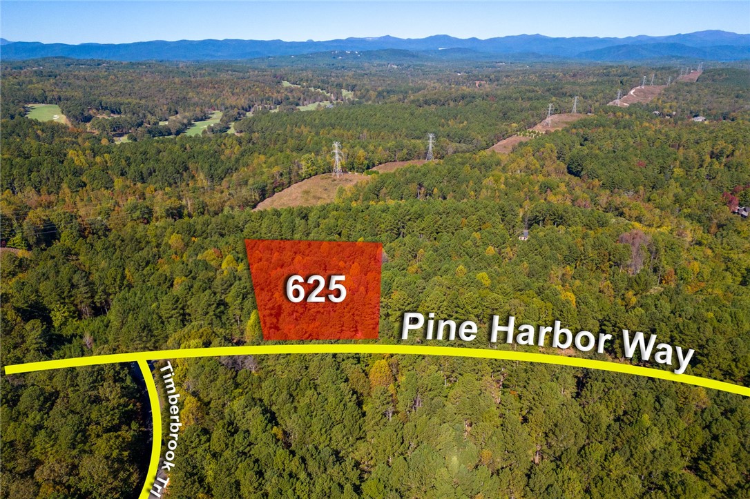 625 Pine Harbor Way Salem, SC 29676 - Photo 3 of 10