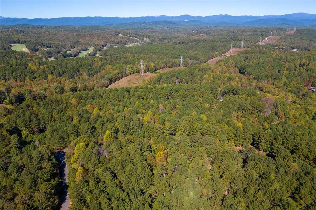 625 Pine Harbor Way Salem, SC 29676 - Photo 4 of 10