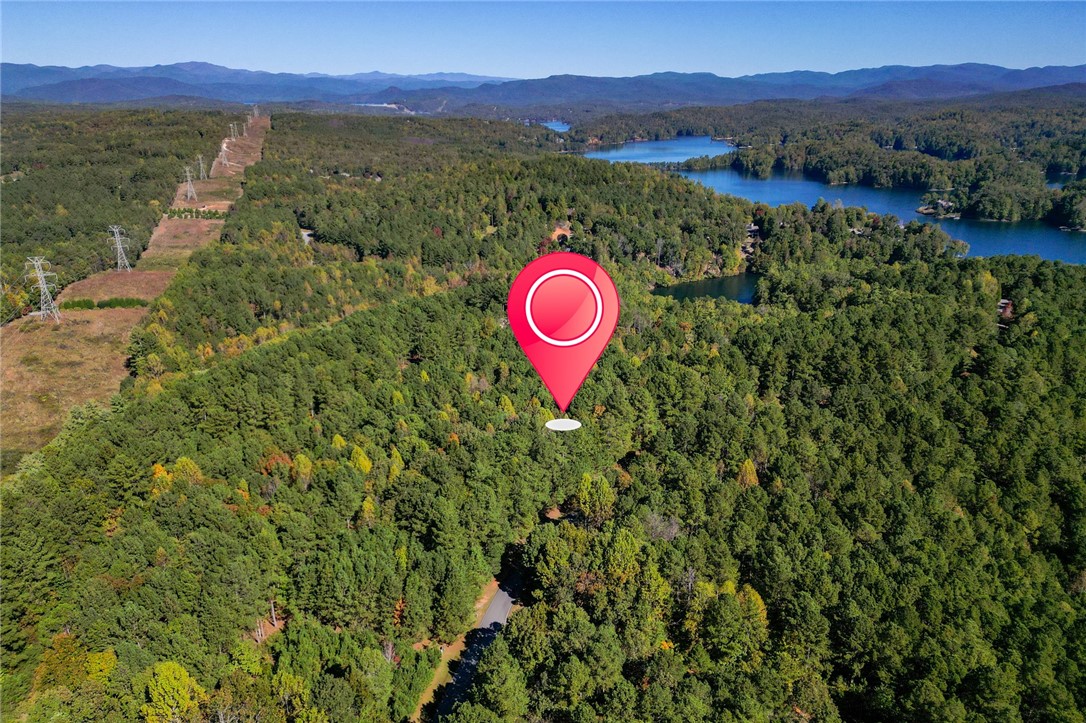 625 Pine Harbor Way Salem, SC 29676 - Photo 8 of 10