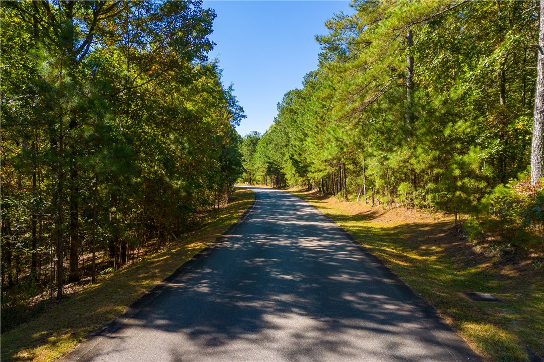 625 Pine Harbor Way Salem, SC 29676 - Photo 10 of 10