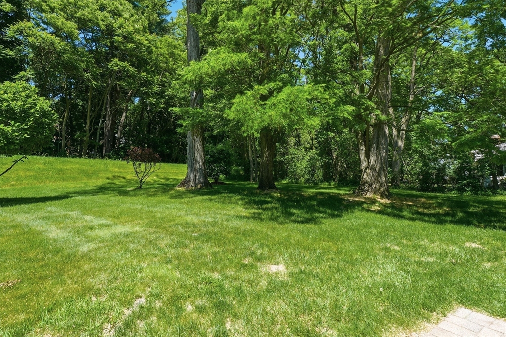 2 Whiting Road Framingham, MA 01701 - Photo 36 of 42