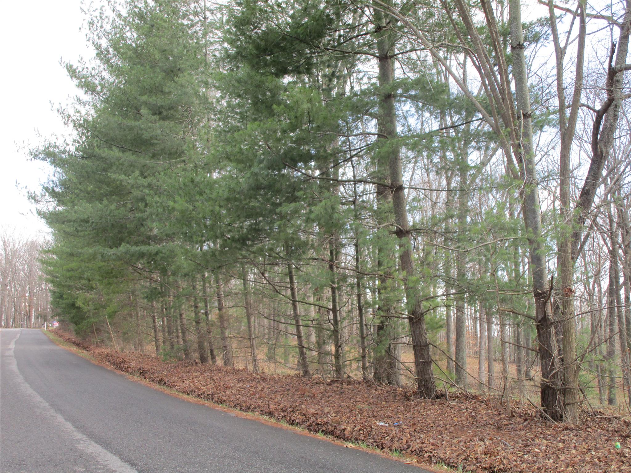 136 North Leath Road Portland, TN 37148 - Photo 10 of 30 a view of a forest filled with trees