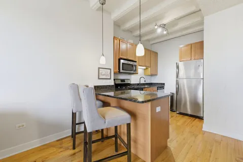 $160,000 | 1791 West Howard Street, Unit 302, Chicago, IL 60626