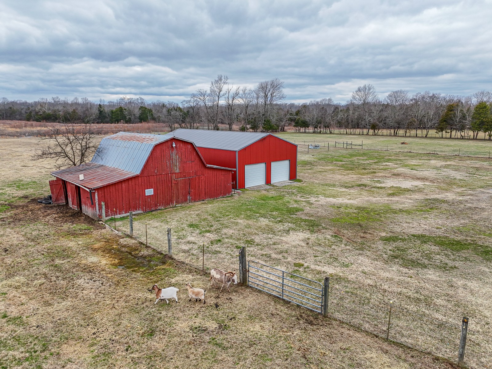 1141 Walnut Grove Road Christiana, TN 37037 - Photo 60 of 74 Gallery Image 60