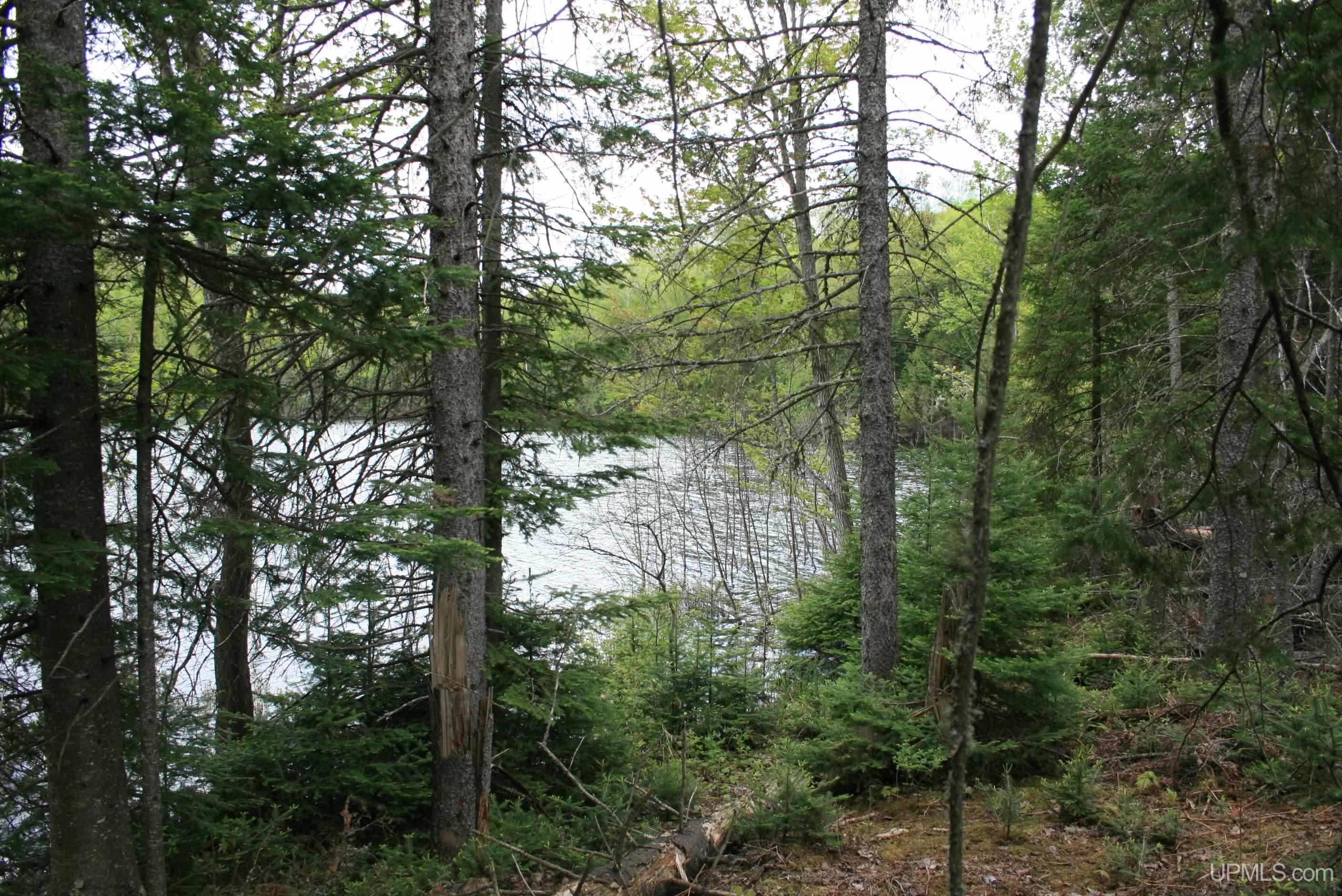Tbd Sucker Lake Road Watersmeet, MI 49969 - Photo 18 of 24