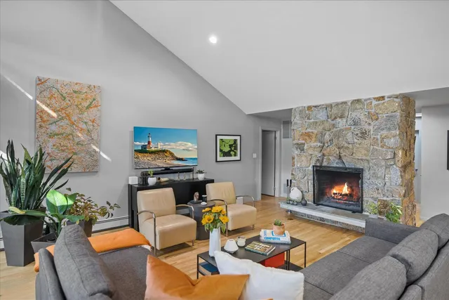 a living room with furniture fireplace and potted plant