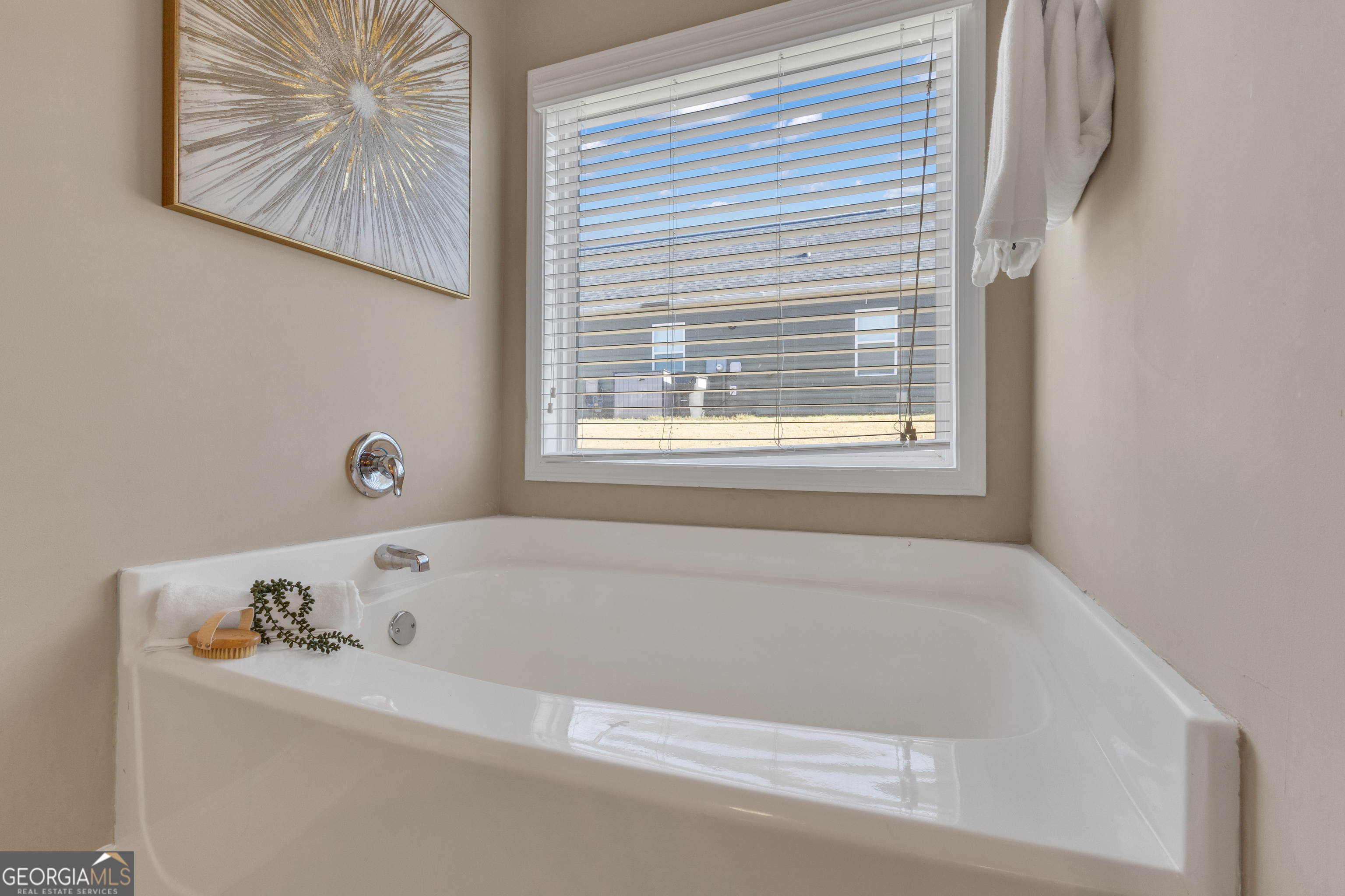 170 Savannah Drive Senoia, GA 30276 - Photo 15 of 60 a white bath tub sitting next to a window