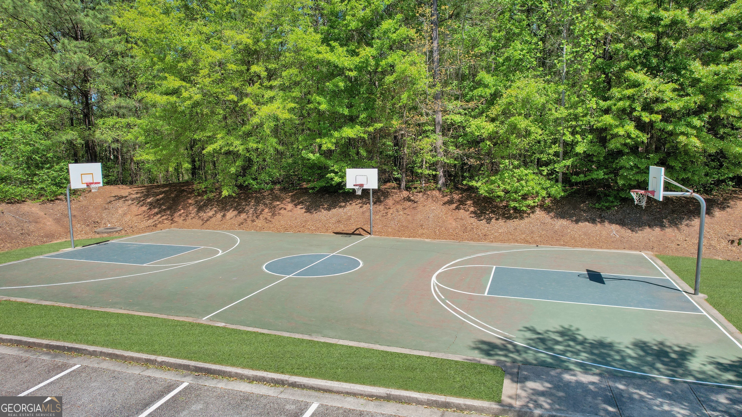 170 Savannah Drive Senoia, GA 30276 - Photo 55 of 60