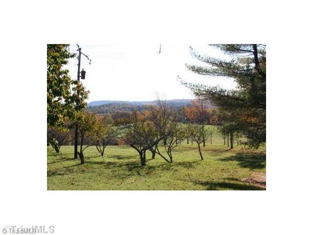 1778 Bent Road Stuart, VA 24171 - Photo 2 of 12 Land.