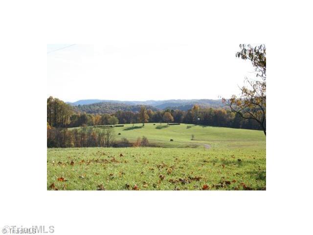 1778 Bent Road Stuart, VA 24171 - Photo 4 of 12 Land.