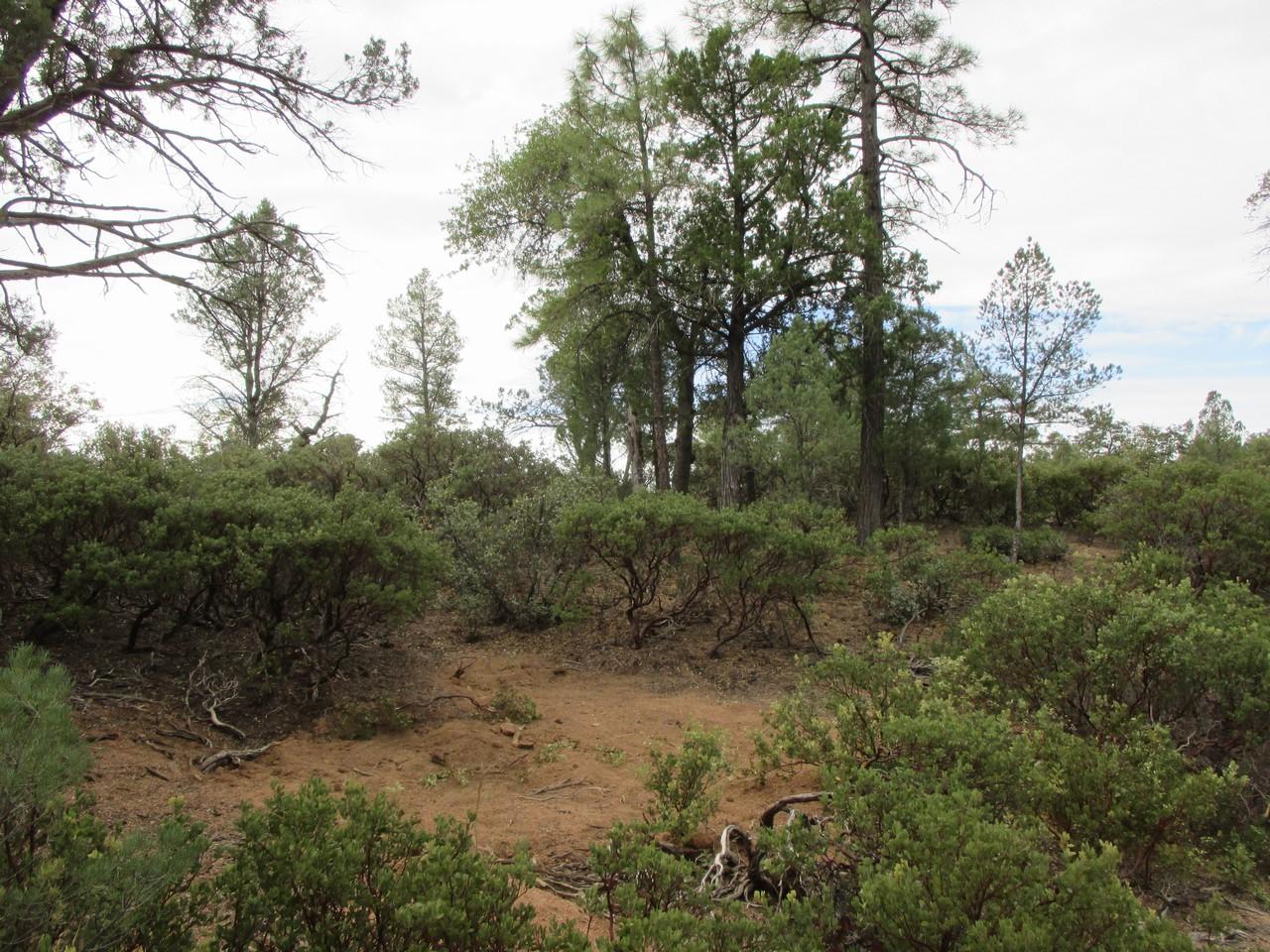 1404 East Graham Rnch Trail Payson, AZ 85541 - Photo 5 of 7 Gallery Image 5