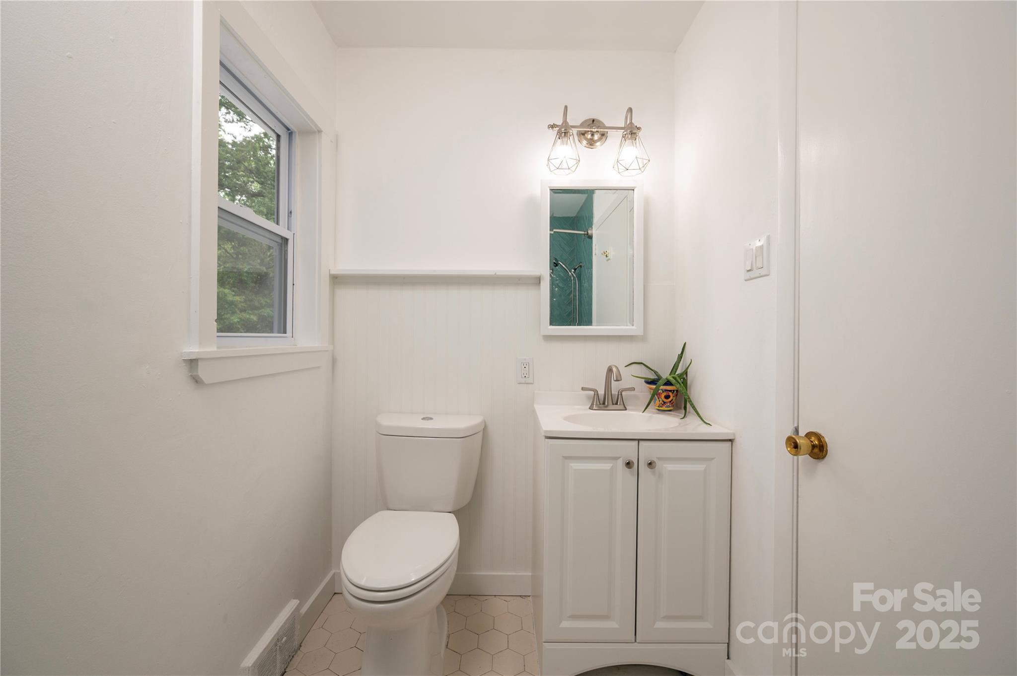 12 Canterbury Road Asheville, NC 28805 - Photo 22 of 44 a bathroom with a toilet sink and mirror