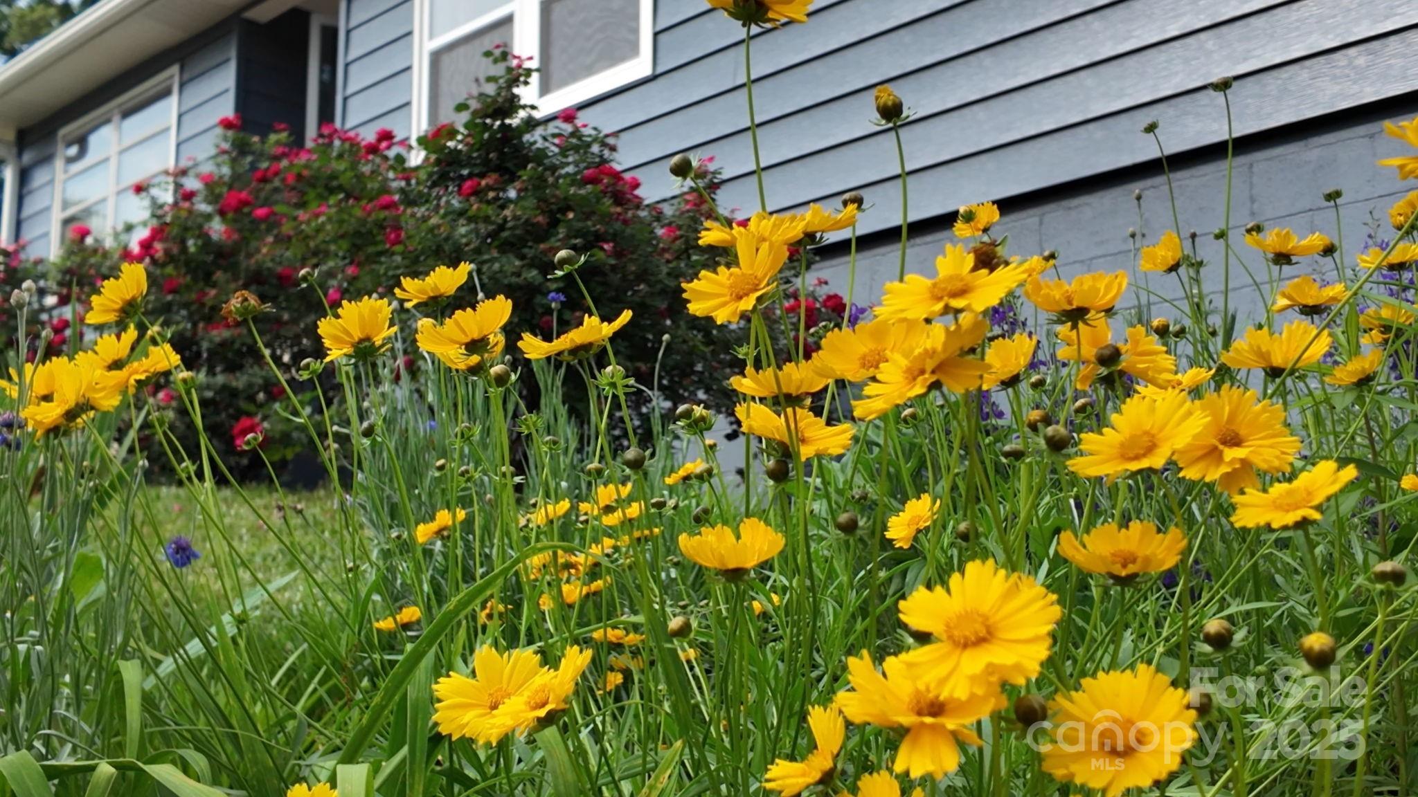 12 Canterbury Road Asheville, NC 28805 - Photo 4 of 44 a view of a bunch of flowers