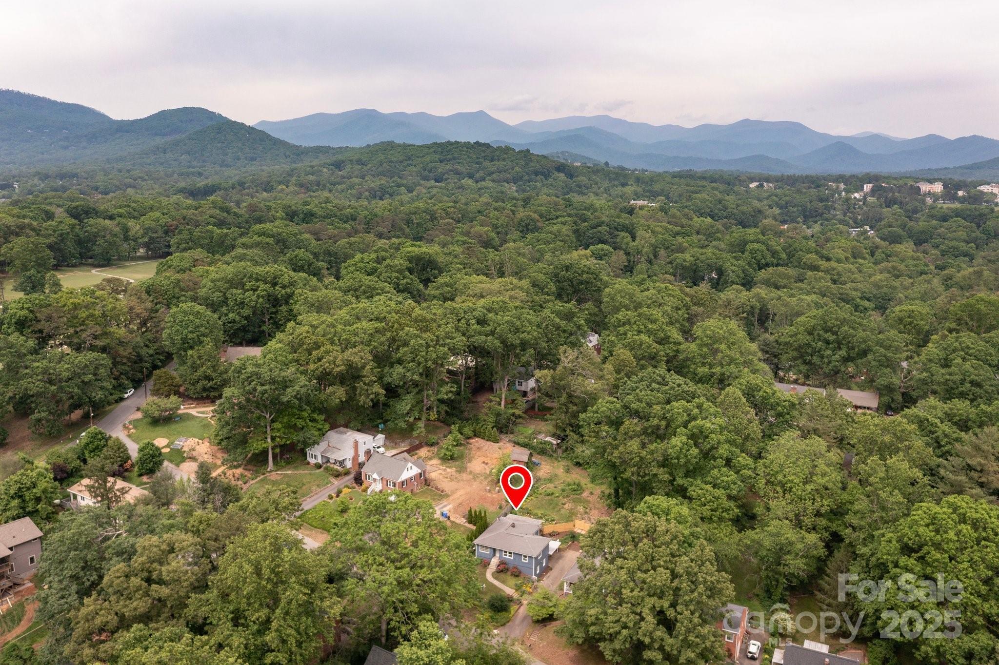 12 Canterbury Road Asheville, NC 28805 - Photo 43 of 44 a view of a lush green field with mountains in the background