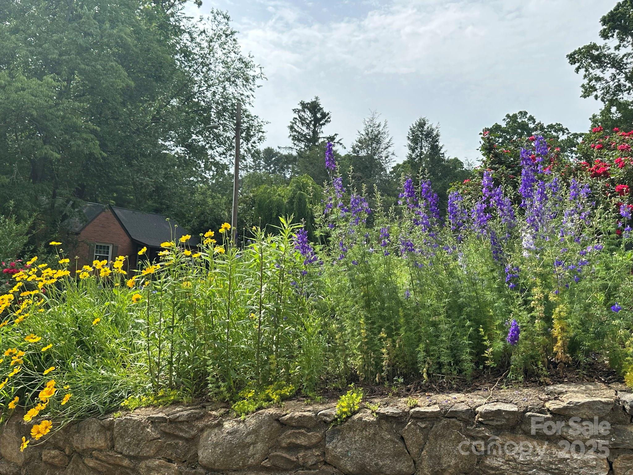 12 Canterbury Road Asheville, NC 28805 - Photo 5 of 44