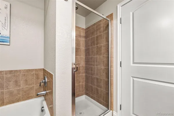 a bathroom with a shower and a sink
