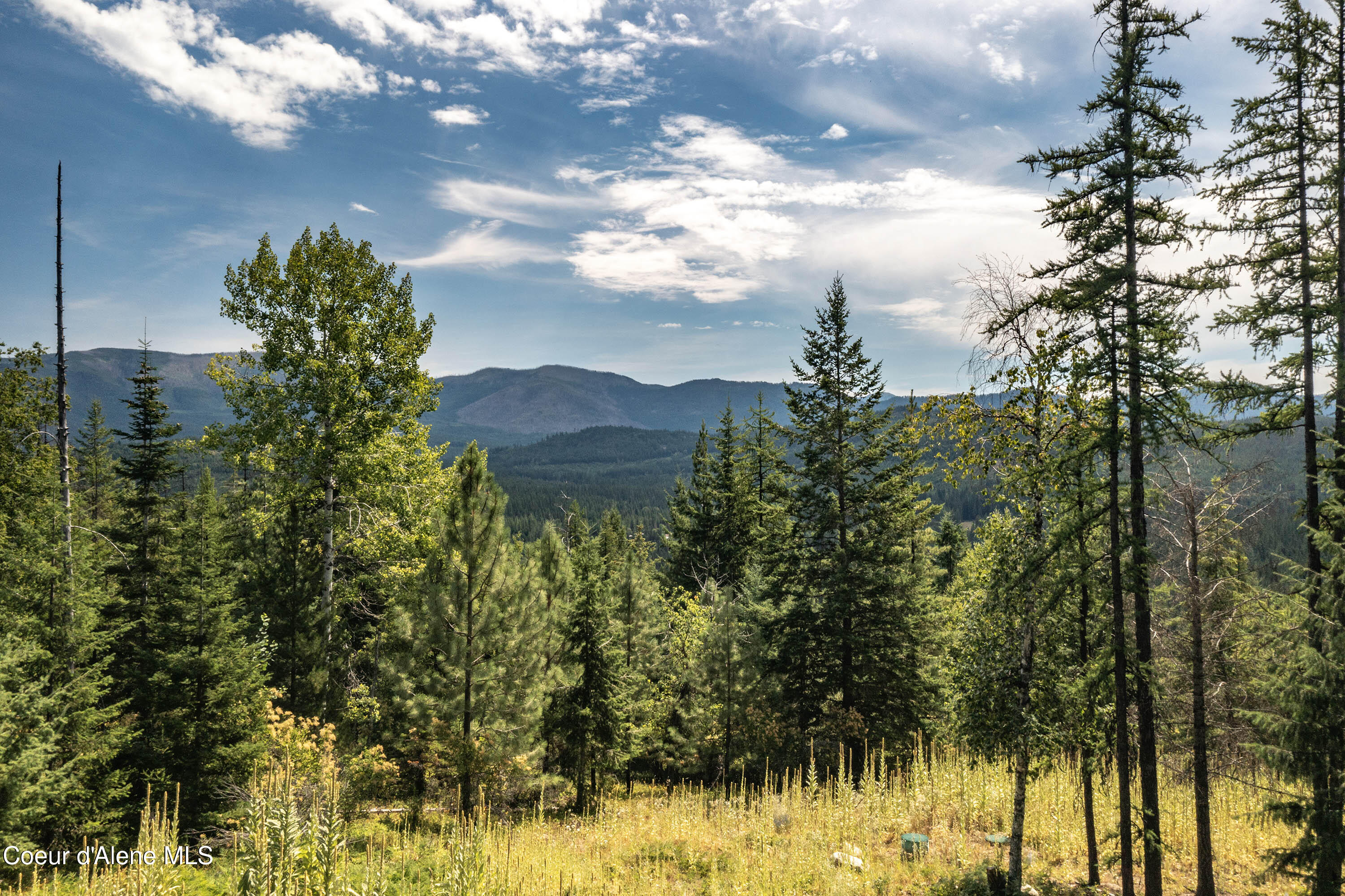 998 Lightning Peak Road Sandpoint, ID 83864 - Photo 1 of 1 DJI_0234