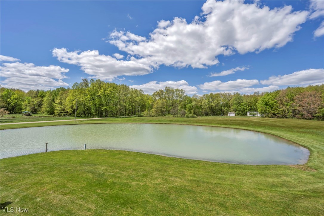 15180 Stoltz Road Diamond, OH 44412 - Photo 35 of 48 Water view with a forest