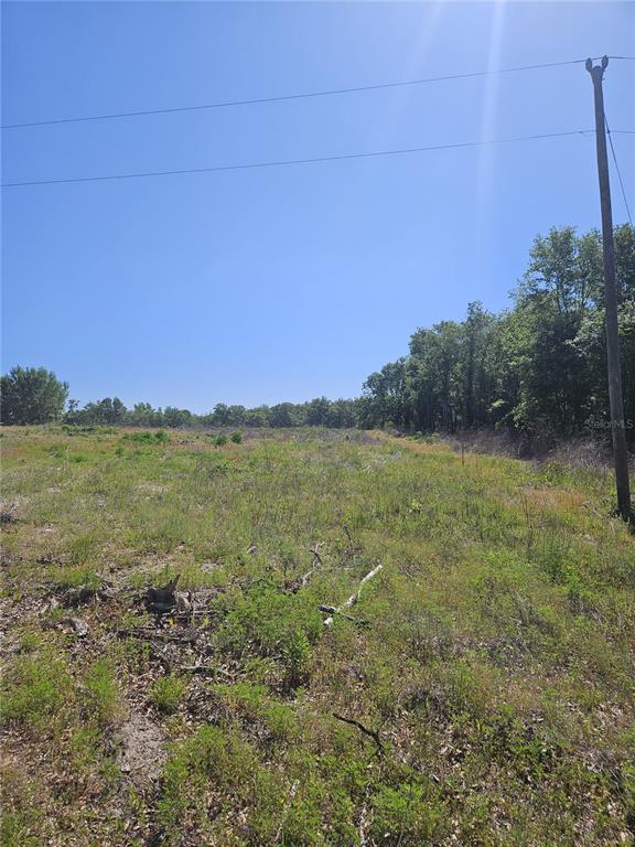 0 Southwest Mixson Road Lake City, FL 32024 - Photo 11 of 34 a view of a field with an ocean view