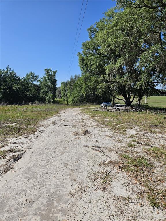 0 Southwest Mixson Road Lake City, FL 32024 - Photo 14 of 34 a view of a yard with a tree