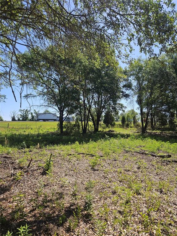 0 Southwest Mixson Road Lake City, FL 32024 - Photo 15 of 34 a view of backyard with green space