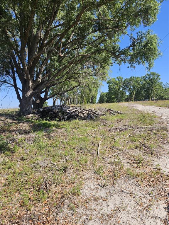 0 Southwest Mixson Road Lake City, FL 32024 - Photo 18 of 34 a view of a yard with an trees