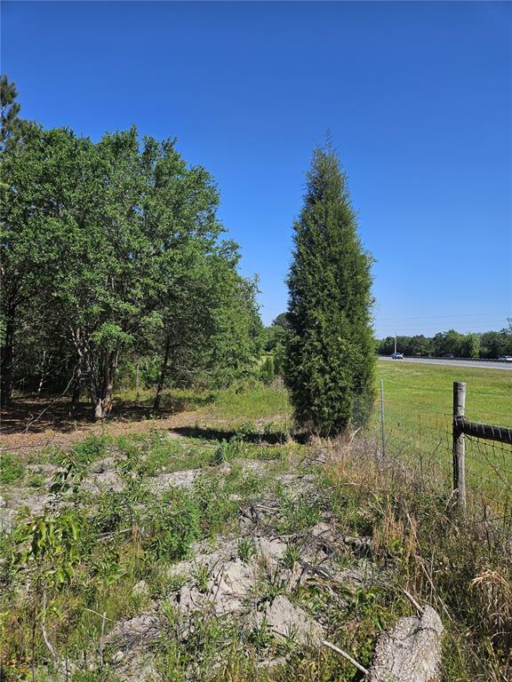 0 Southwest Mixson Road Lake City, FL 32024 - Photo 2 of 34 a view of a lake with a yard