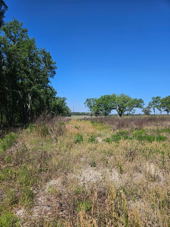 0 Southwest Mixson Road Lake City, FL 32024 - Photo 22 of 34 a view of outdoor space and trees