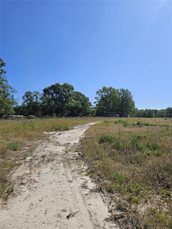 0 Southwest Mixson Road Lake City, FL 32024 - Photo 25 of 34 a view of a lake with a yard