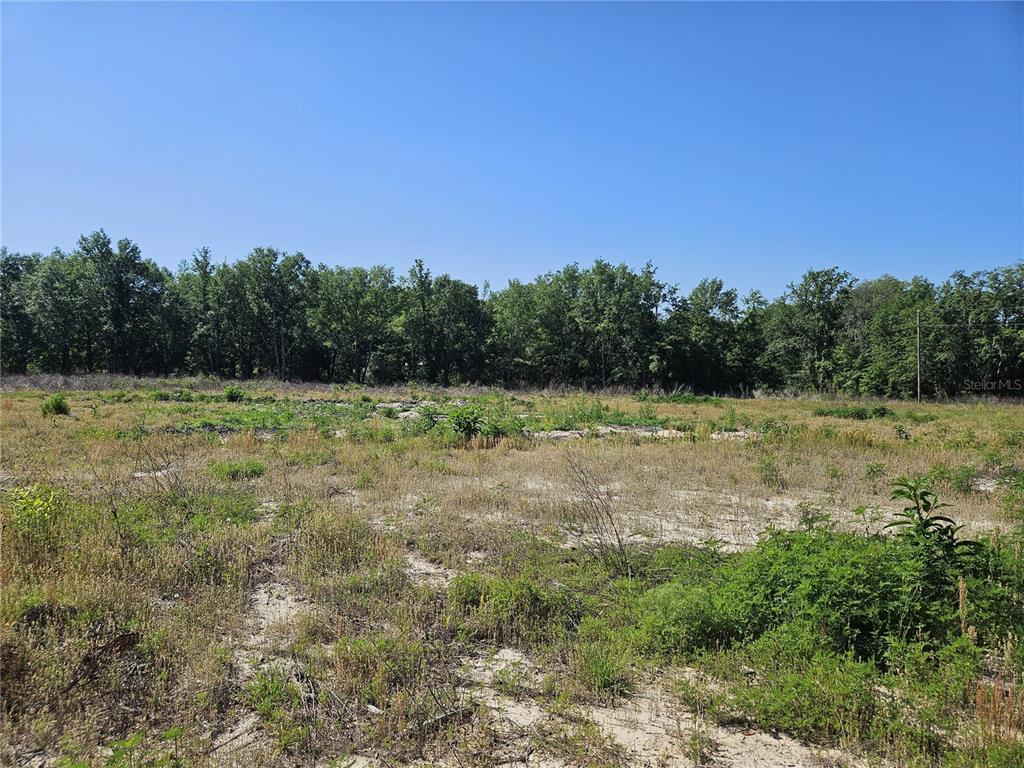 0 Southwest Mixson Road Lake City, FL 32024 - Photo 26 of 34 a view of a lake with a yard